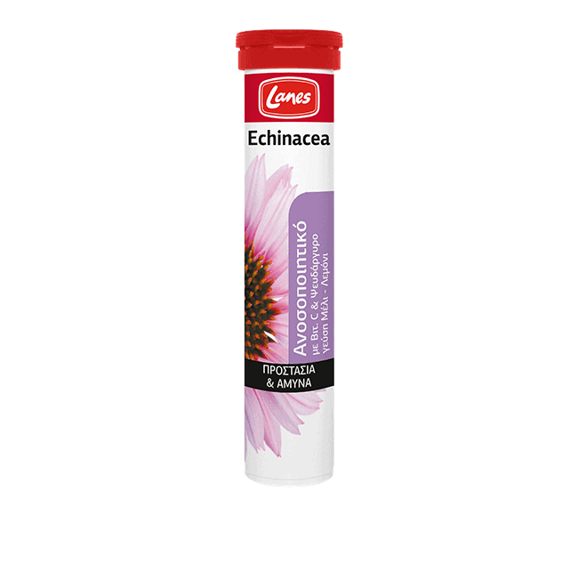 Lanes Echinacea